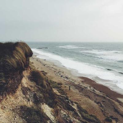 Instagram 3